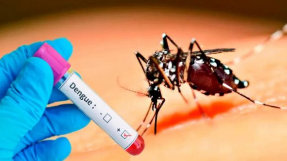 Se triplican los casos de dengue en las Américas